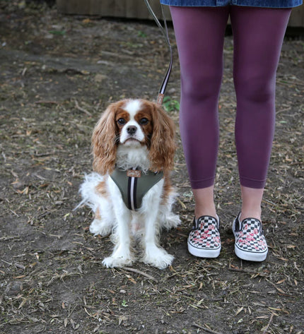 Plum Footless Tights