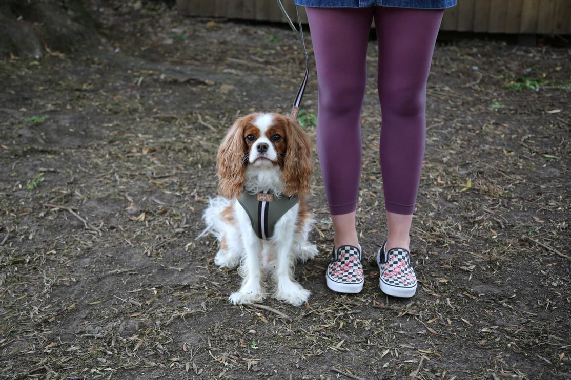 Plum Footless Tights